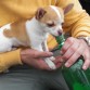 que conste que relamente no esya bebiendo cerveza!!!